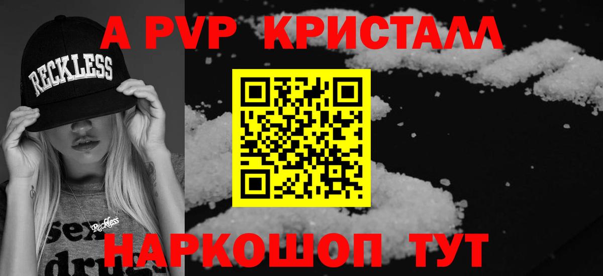 A PVP СК КРИС Людиново