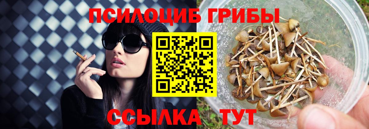 Псилоцибиновые грибы Magic Shrooms  Вход с VPN  Псилоцибиновые грибы Cubensis  Людиново 